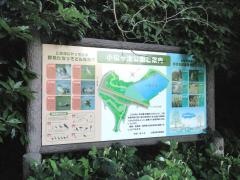 小松ケ池公園