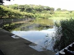 小松ケ池公園