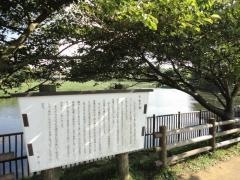 小松ケ池公園