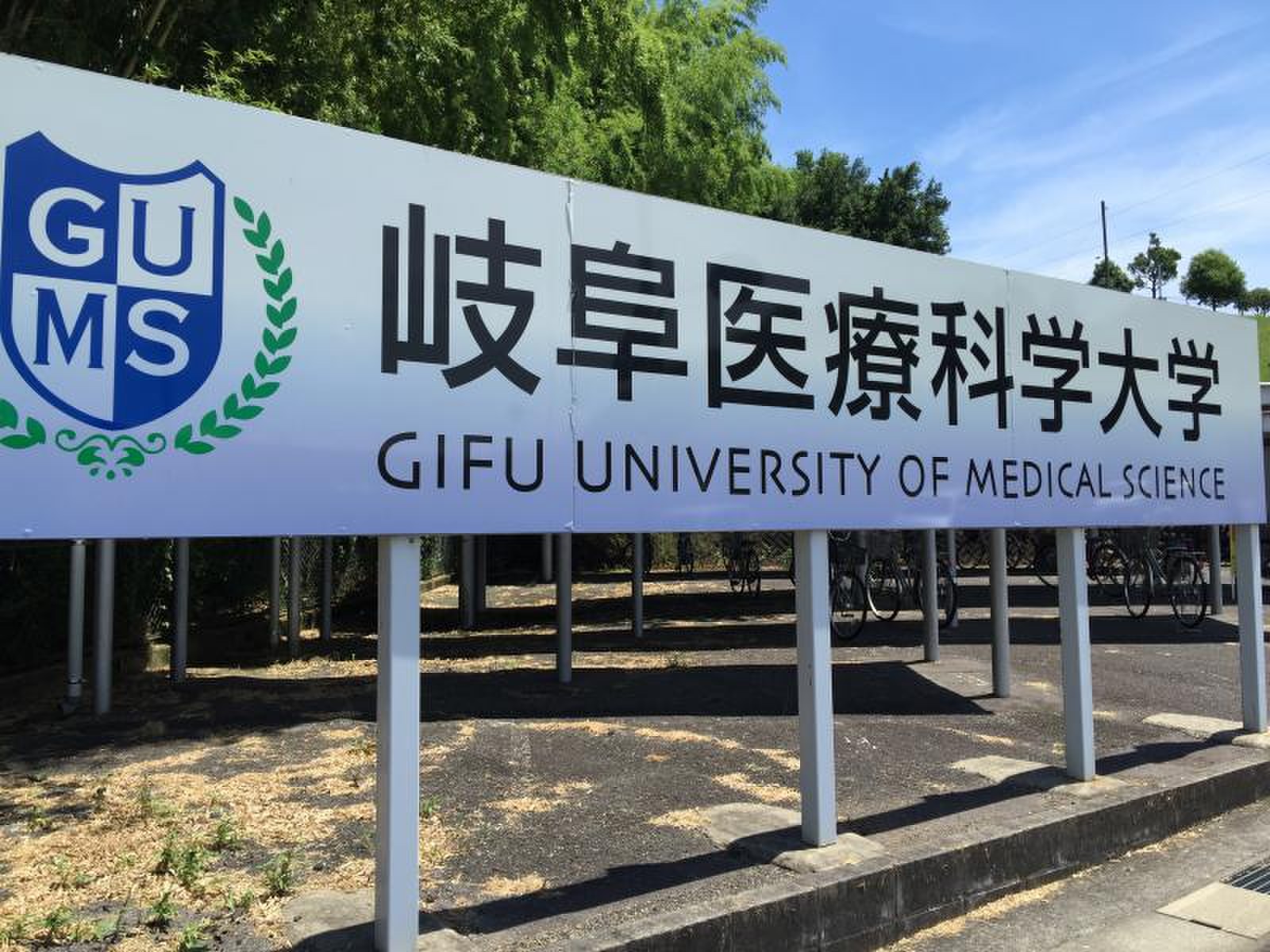 岐阜 医療 科学 大学