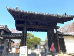 三宝院（醍醐寺塔頭）