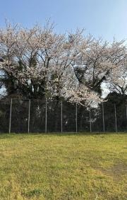 小戸山運動広場