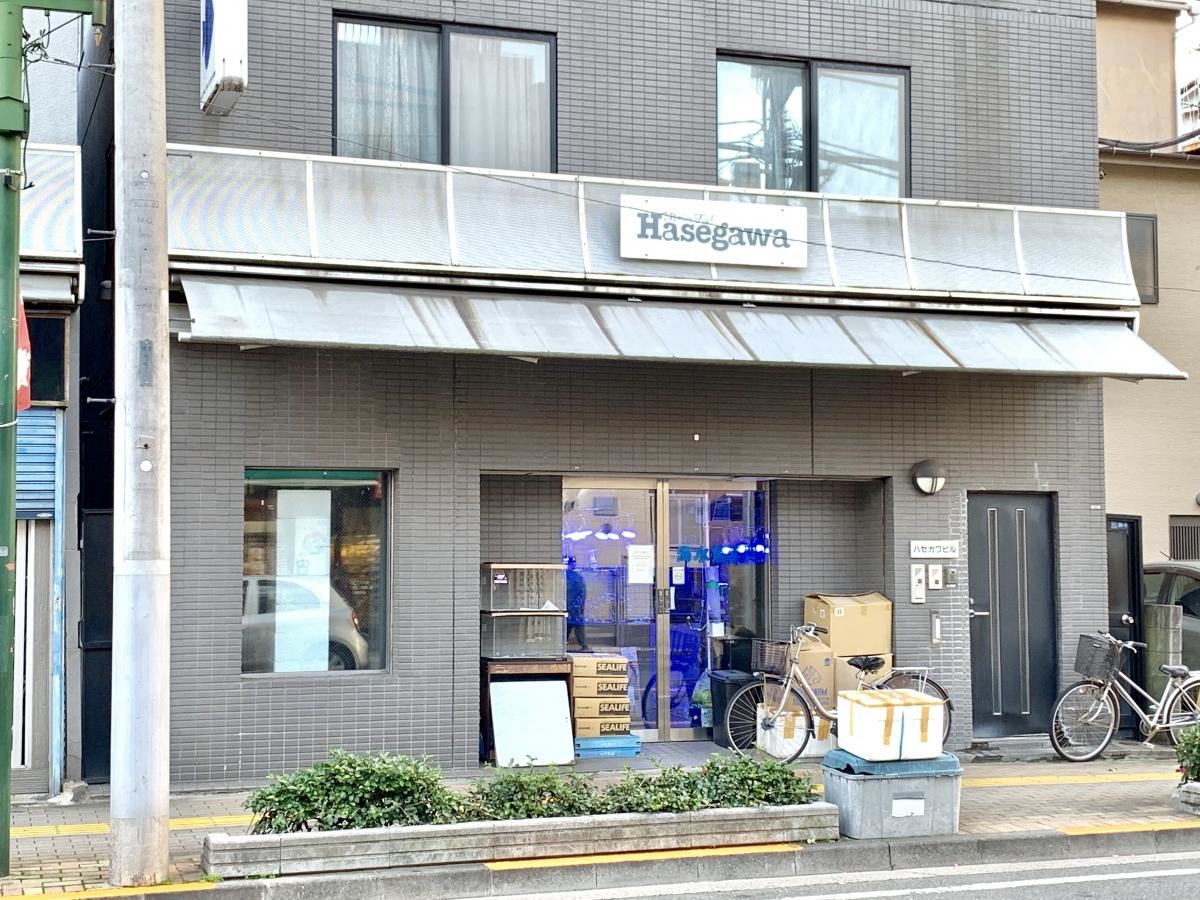 マリンフィッシュハセガワの店舗外観全景