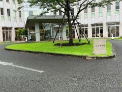 桜十字病院