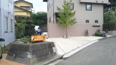 あさの犬猫病院