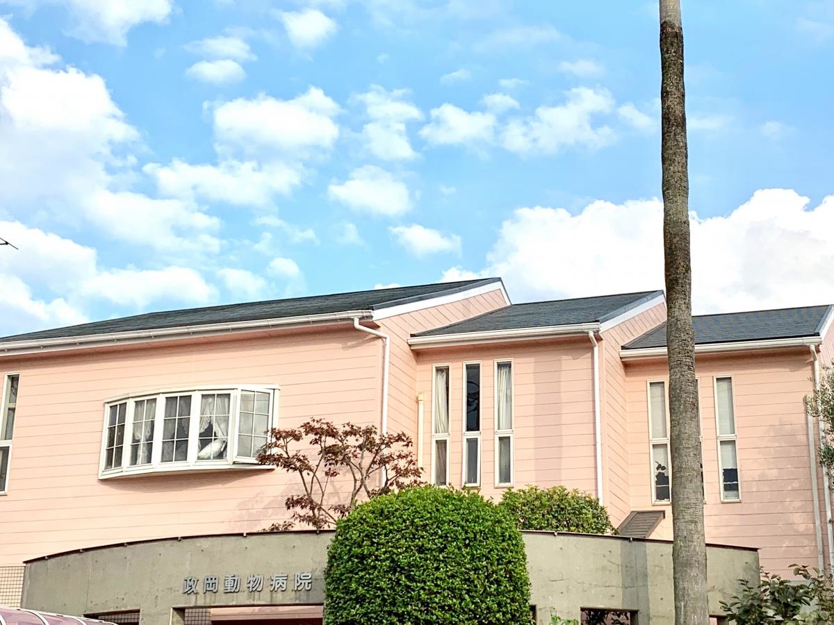 政岡動物病院