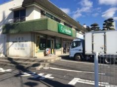 三田川薬局