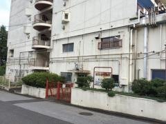 コアラ保育所
