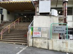 コアラ保育所