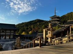 大師山清大寺越前大仏