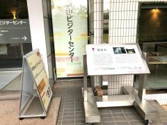 福井市自然史博物館