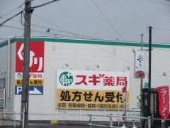 スギ薬局　井ヶ谷店
