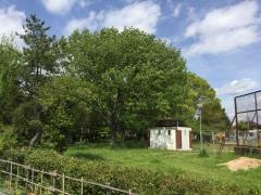 迎野公園