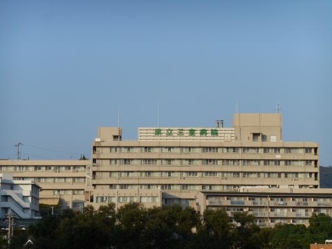 投稿写真8