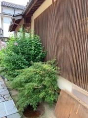 こんぱ亭橋爪庵