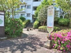 「桜台二丁目」バス停留所