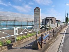 「樋橋」バス停留所