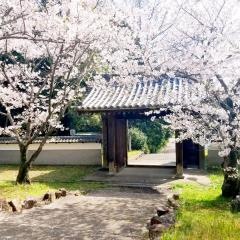 乾坤院庭園