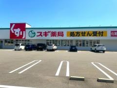 スギ薬局　南富山店