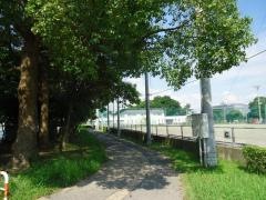 姉崎公園