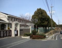 志津南小学校