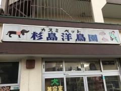 杉島洋鳥園