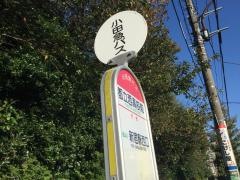 「都立西高前」バス停留所