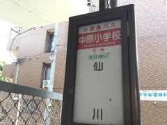 「中原小学校」バス停留所