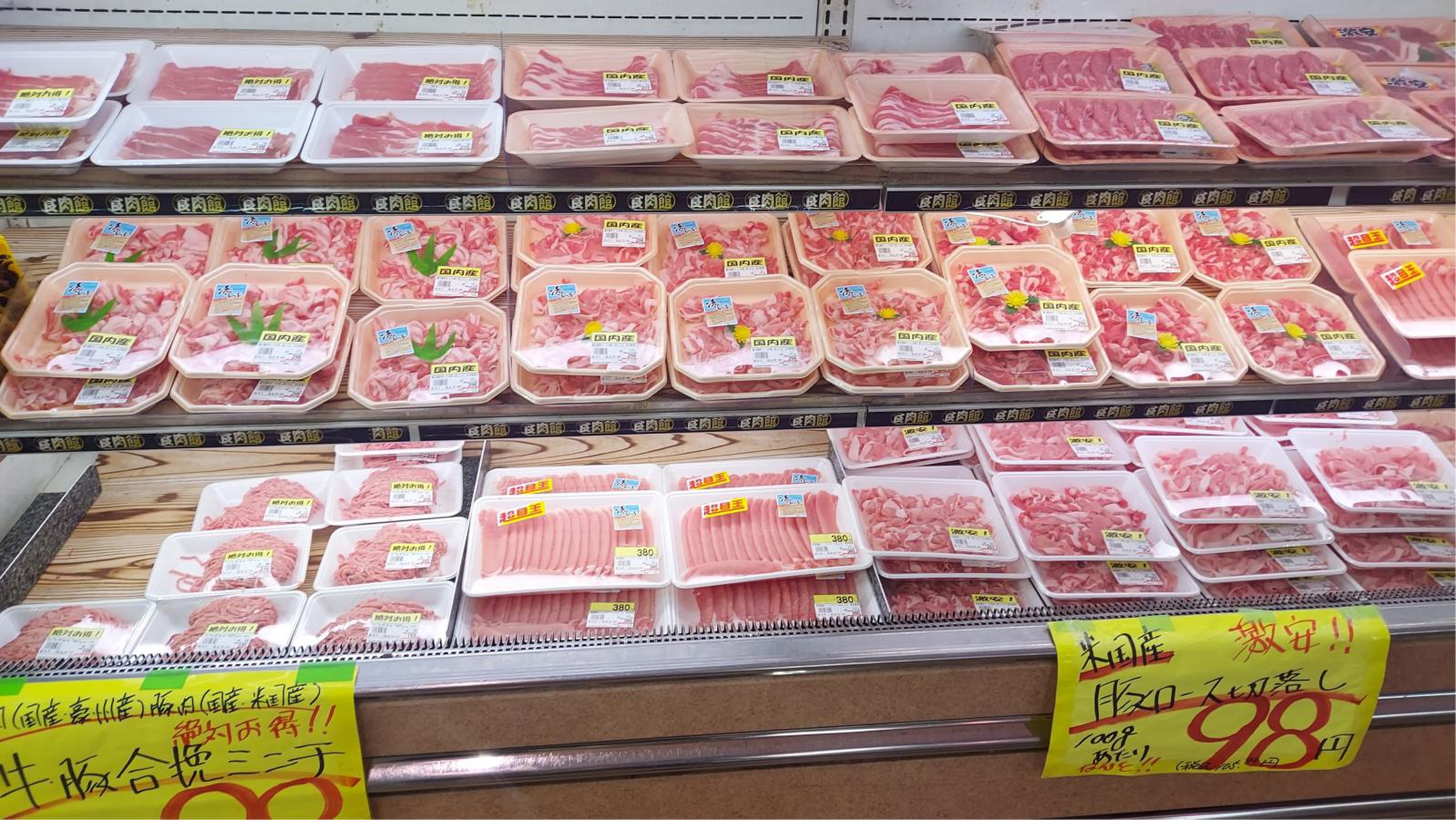 活動歴および当時の関連ビジュアル記録