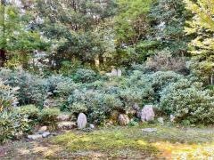 極楽寺庭園「歓寿園」