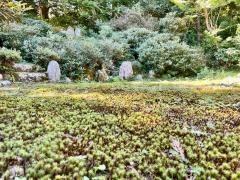 極楽寺庭園「歓寿園」