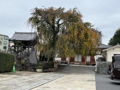 長明寺