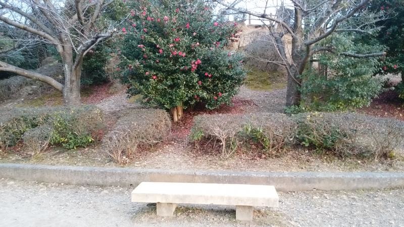 上の池公園