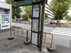 「東新井団地」バス停留所