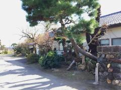 橋口歯科医院