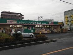 ドラッグセイムス　堀の内店