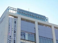 開智日本橋学園高等学校