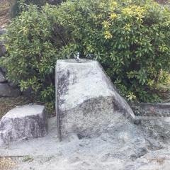 高尾公園