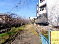 淀緑地
