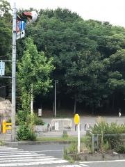 大泉緑地
