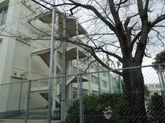 志免西小学校
