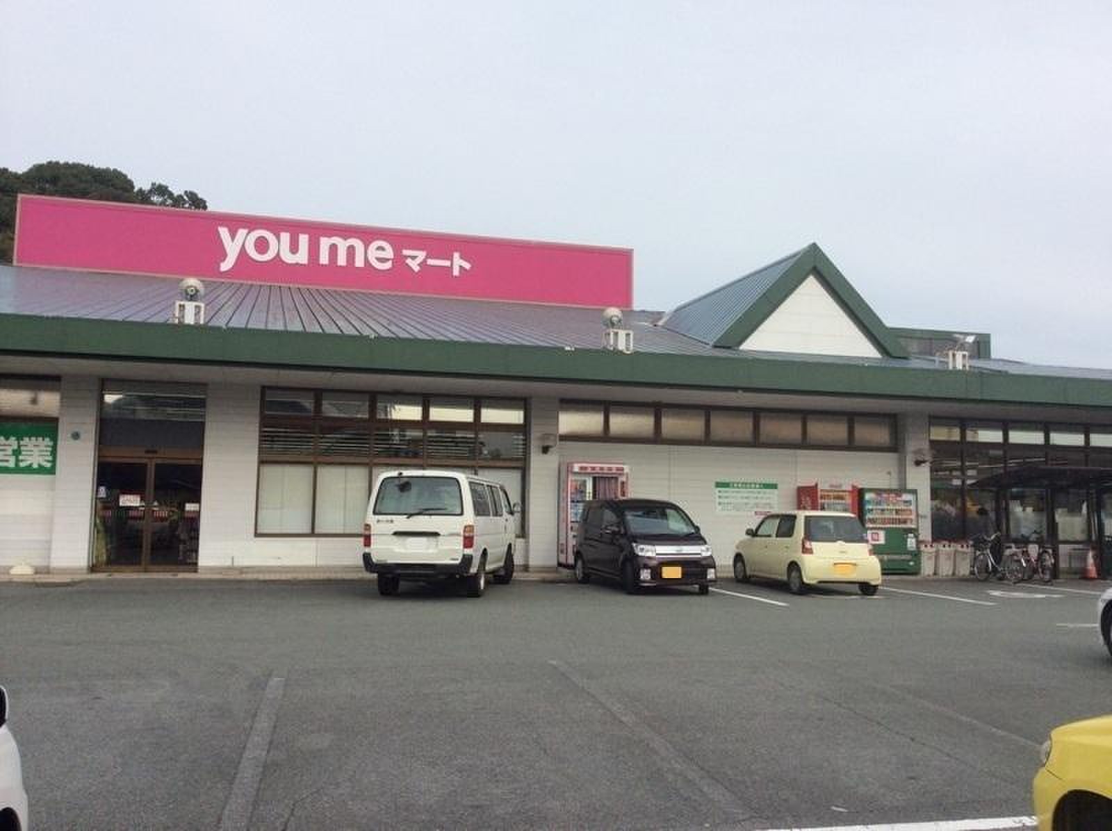 活動歴および当時の関連ビジュアル記録
