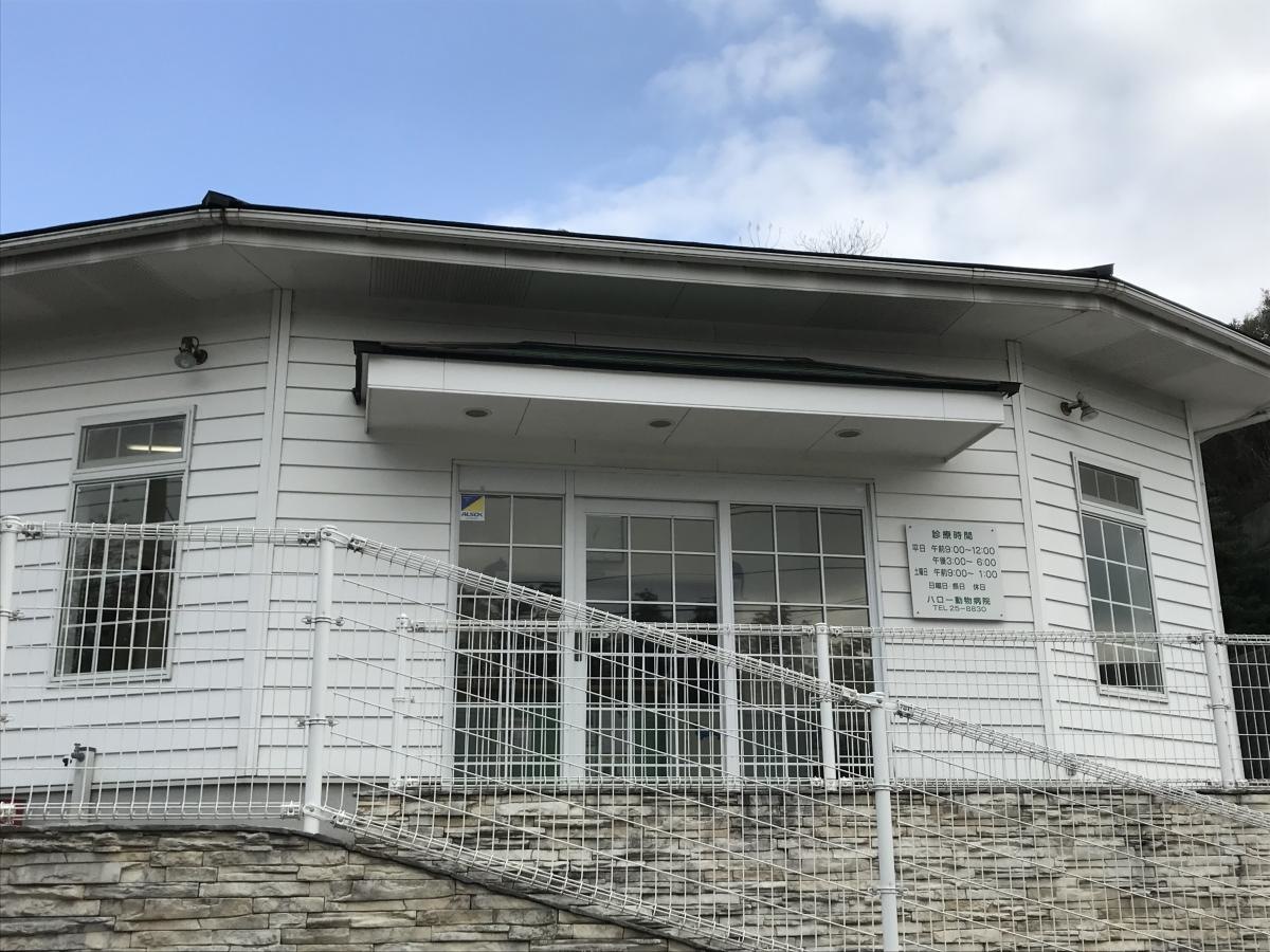 ハロー動物病院