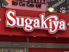 スガキヤ　大須万松寺通店