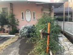 山荘通しみず歯科