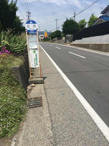 投稿写真1