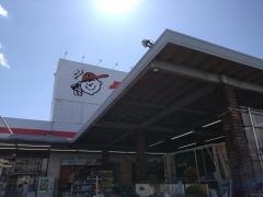 ダイシン幸町店