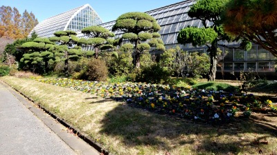 旅探 たびたん さいたま市園芸植物園 さいたま市緑区大崎