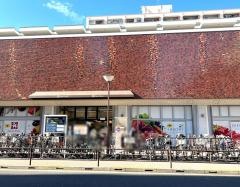 東急ストア　金町店