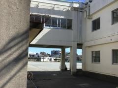 松林小学校
